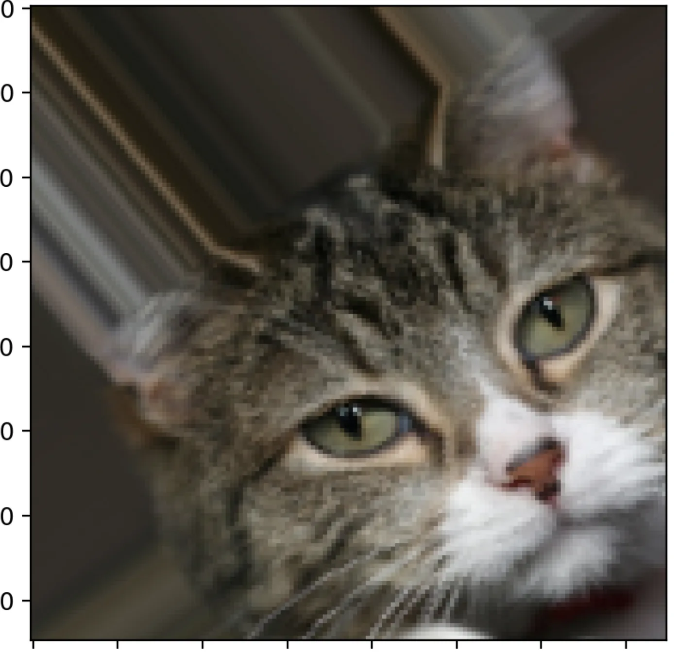 The same cat photo after ImageDataGenerator augmentation: rotated, shifted and rescaled
