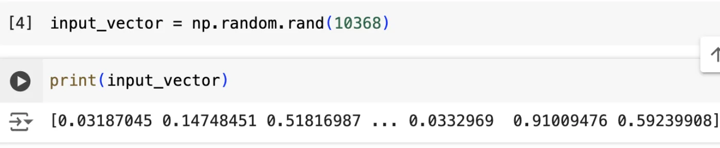 Google Colab output showing the example input vector