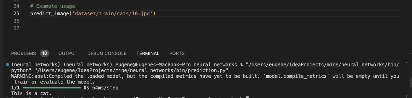 Console output correctly predicting a training-set cat image as a cat