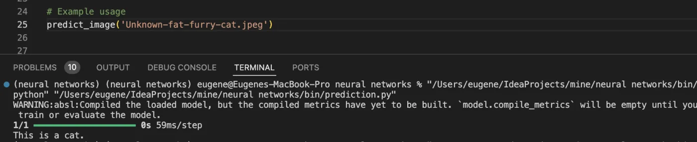Console output correctly predicting the unusual cat photo as a cat
